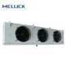 dan lanh meluck DD38